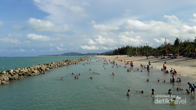 Menilik Penangkaran Penyu di Bangka