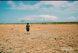 Menjelajah Little Africa di Ujung Pulau Jawa