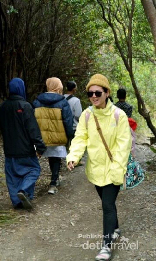 Menjelajahi Hutan Mati Gunung Papandayan