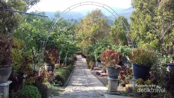 Merasakan Puncak Jawa Barat Ala Wonogiri