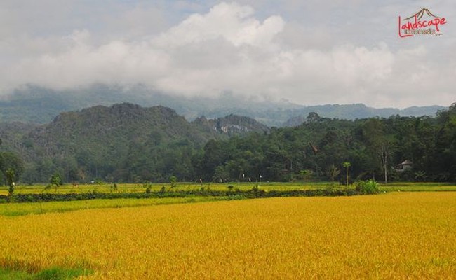Misteri Jadi Keunikan di Tana Toraja