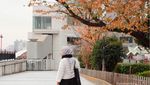 Musim Gugur yang Indah Nian di Jepang