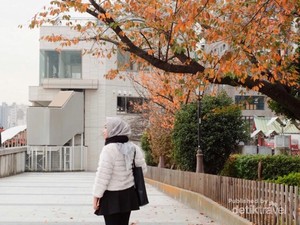 Musim Gugur yang Indah Nian di Jepang