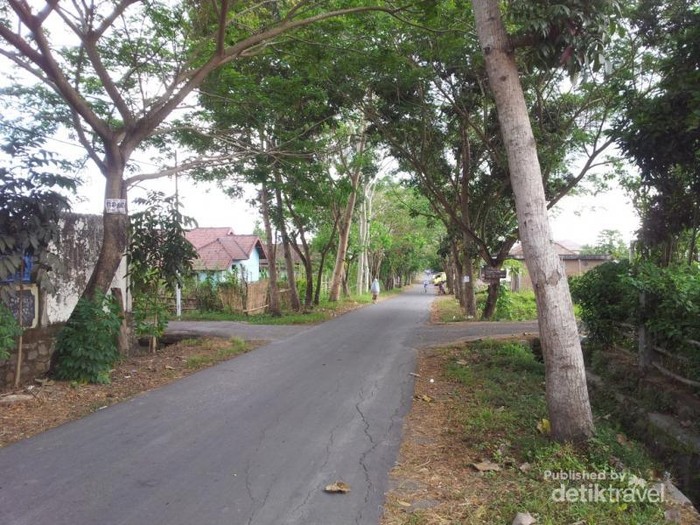 Nyam! Saatnya Coba Kuliner Ayam Taliwang Bila Liburan ke Lombok