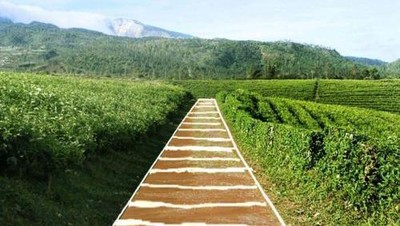 Orang Jakarta ke Puncak, Orang Makassar ke Malino