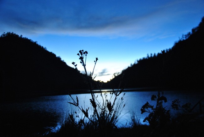 Pagi Hari di Ranu Kumbolo, Indahnya Bak Magis!