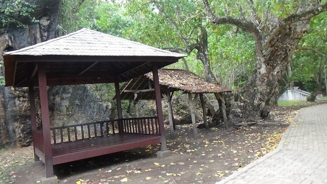 Paket Lengkap! Pantai, Air Terjun, dan Goa Ada di Trenggalek