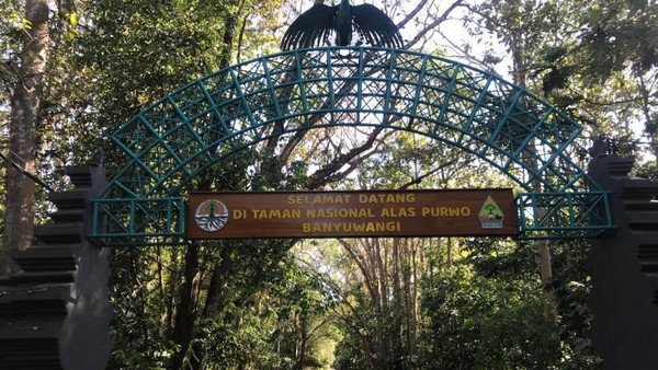 Pantai Cantik dari Banyuwangi