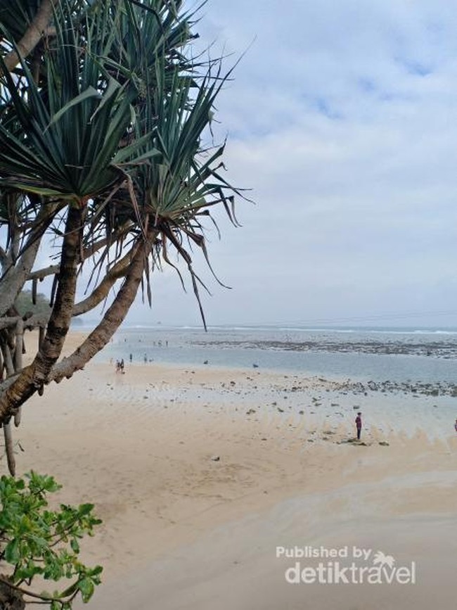 Pantai Ini Disebut Tanah Lotnya Jawa Timur