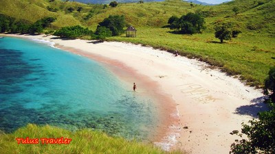 Pantai Pink di Pulau Komodo, Bikin Jatuh Hati!