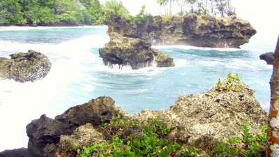 Papua Barat Tak Cuma Raja Ampat, Tambrauw Juga Cantik
