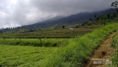 Penat di Kota? Yuk Kabur Ke Gunung Gede