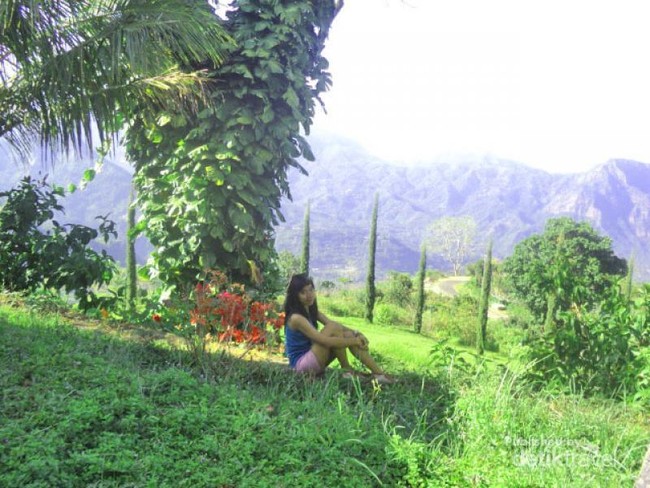 Perbukitan Hijau nan Segar di Manulalu, Flores