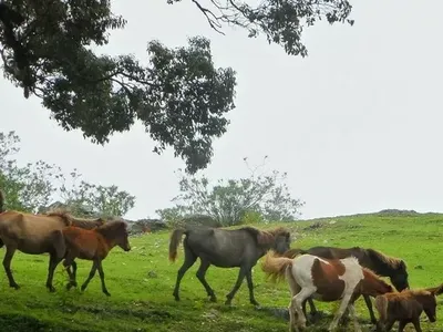 Percayalah, Ini Potret Alam Timor Tengah Selatan