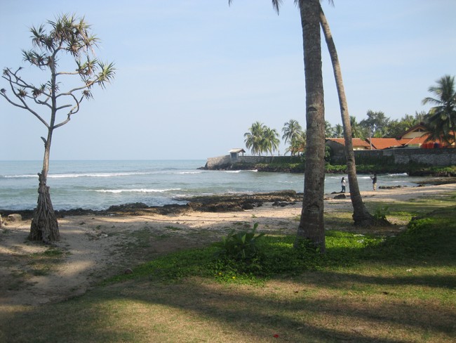 Perjalanan Tak Sengaja ke Karangbolong