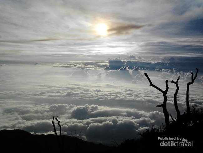 Perjuangan Mendaki Gunung Slamet