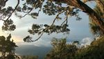Petualangan Menjejaki Atap Sumatera Barat, Gunung Talamau
