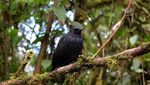 Petualangan Menjejaki Atap Sumatera Barat, Gunung Talamau