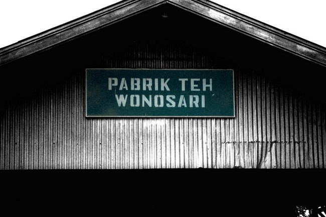 Piknik Wisata Agro Wonosari, Malang
