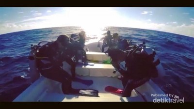 Potret Bawah Laut Banda yang Indah Nian