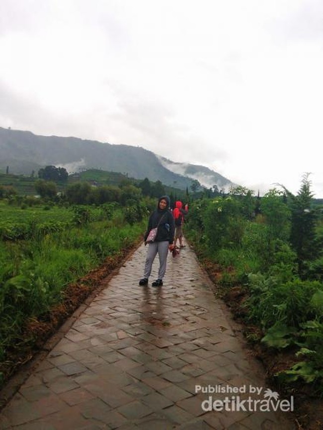 Potret Cantiknya Candi Arjuna di Dieng