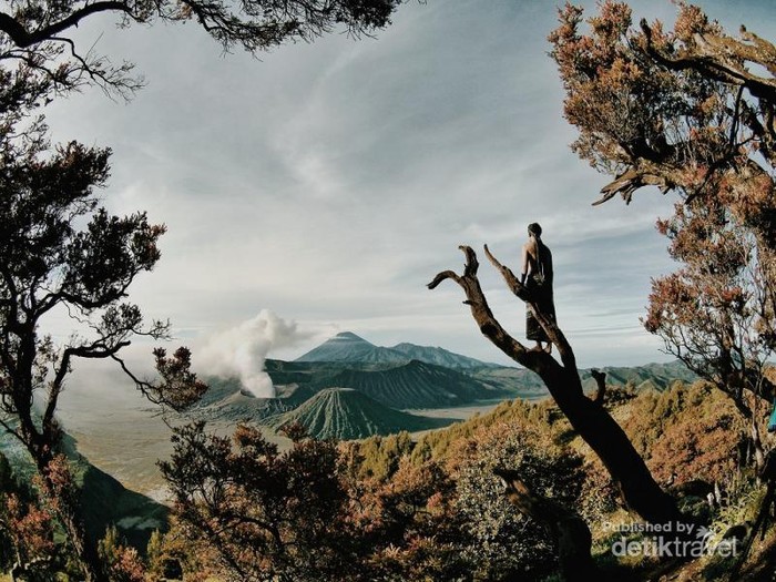 Potret Keindahan Bromo