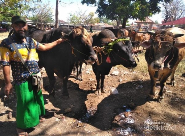 Potret Pasar Sapi Terbesar di Pulau Madura