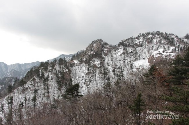 Puncak Bersalju di Negeri KPop
