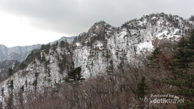 Puncak Bersalju di Negeri KPop