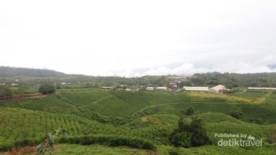 Puncak di Jawa Barat? Bukan, Ini Dekat Makassar