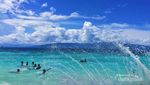 Sebuah Surat Cinta dari Maluku