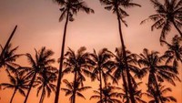 Sunset di crystal bay