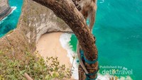 Monyet di kelingking beach