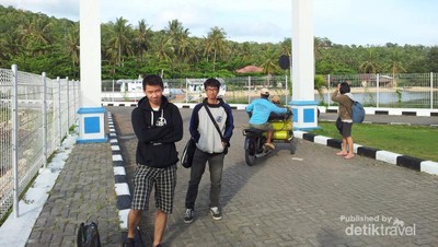 Senang-senang Bareng Hiu Karimunjawa