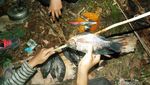 Sensasi Kemah dan Berburu di Tanah Datar, TN Wasur