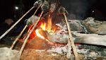 Sensasi Kemah dan Berburu di Tanah Datar, TN Wasur