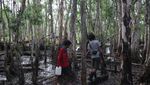 Sensasi Kemah dan Berburu di Tanah Datar, TN Wasur