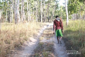 Sensasi Kemah dan Berburu di Tanah Datar, TN Wasur
