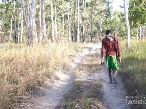 Sensasi Kemah dan Berburu di Tanah Datar, TN Wasur
