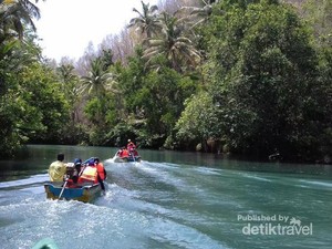 Seperti Amazon, Sungai Maron dari Pacitan