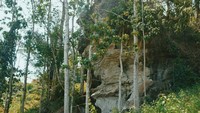 Gua di Kampung Penggoli tertutup semak dan pepohonan menjulang tinggi
