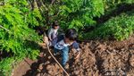 Serunya Ajak Anak-anak Trekking ke Gunung Api Purba Nglanggeran