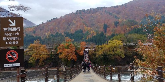 Shirakawago, Salah Satu Desa Cantik Rupawan dari Jepang