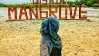 Spot FOto di Pantai Mangrove