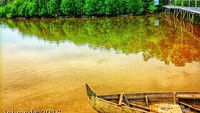 Hutan Mangrove