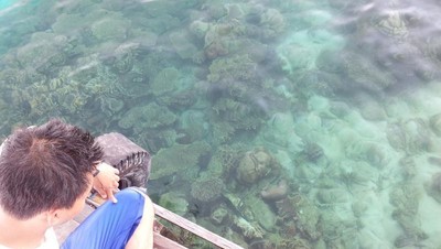 Snorkeling di Karimunjawa, Perfect!