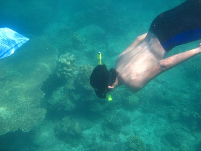 Snorkeling di Pulau Harapan
