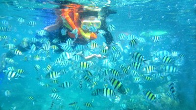 Snorkeling di Pulau Tidung