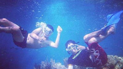 Snorkeling Keren di Pulau Menjangan, Bali