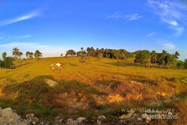 Sumba Selalu Bikin Rindu